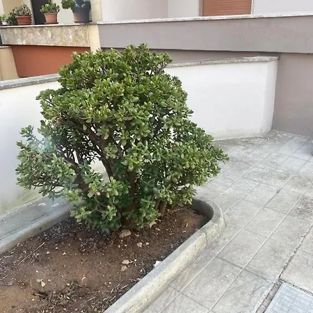 Giardino Massari
